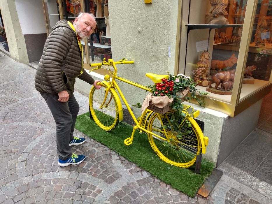 Impressionen zur Apfelblüte_3