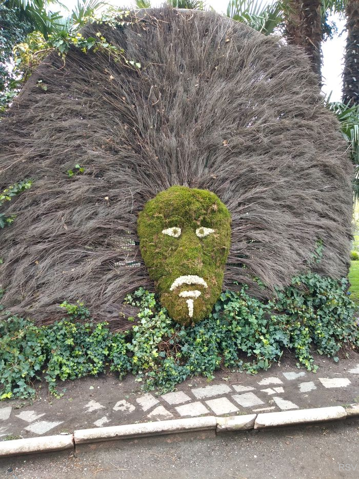 Impressionen zur Apfelblüte_9